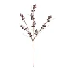 Beerenzweig, Dunkelrot, 70 Cm