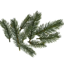9er Set Tannengrün