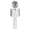 Karaoke Mikrofon, Silber, 23 Cm