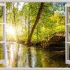 Poster Forest Window, Nr. 138